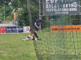 S.K.N.W.K. JO19-1 - Halsteren JO19-2 (competitie) 2024-2025 (3e fase) (27/225)